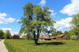 Rural cottages in Catalunya