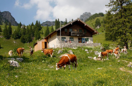 Villas in Catalunya