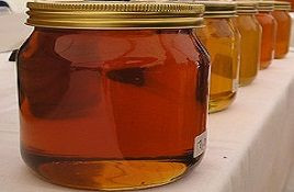 Honey Tasting in Barcelona
